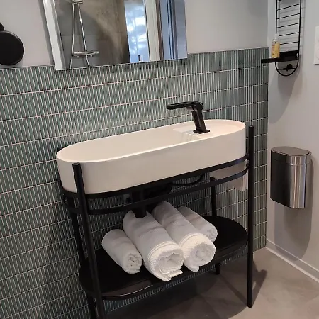 Renove Nancy Brabois, Proche Chru Campus 公寓 旺德夫尔莱南锡