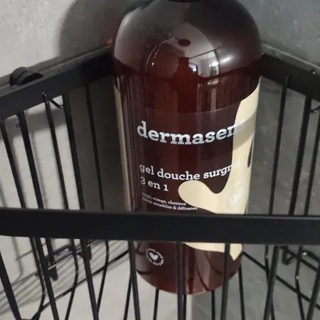 Renove Nancy Brabois, Proche Chru Campus 旺德夫尔莱南锡