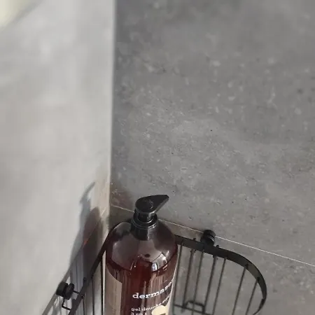 Renove Nancy Brabois, Proche Chru Campus * 旺德夫尔莱南锡