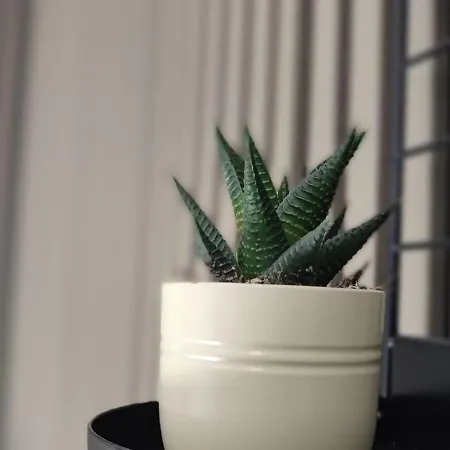 公寓 Renove Nancy Brabois, Proche Chru Campus