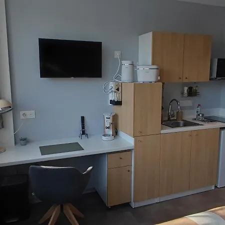 Renove Nancy Brabois, Proche Chru Campus 公寓 旺德夫尔莱南锡