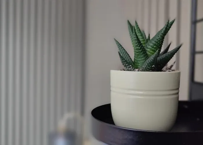 Renove Nancy Brabois, Proche Chru Campus Vandoeuvre-lès-Nancy