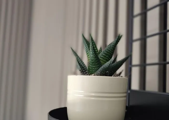 アパート Renove Nancy Brabois, Proche Chru Campus