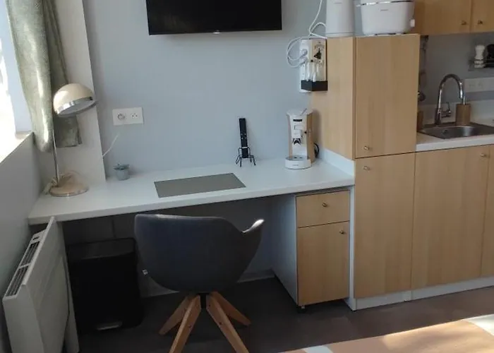 Renove Nancy Brabois, Proche Chru Campus アパート *